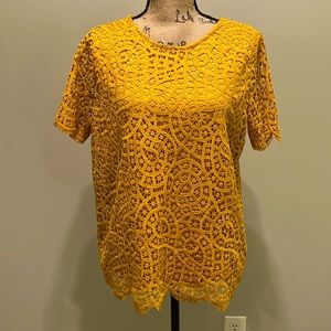 Philosophy Brand. Size Medium. Lace Blouse.